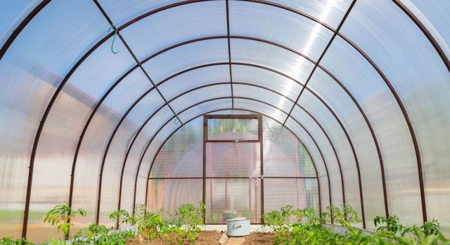 Polycarbonate Greenhouses: The Eco-Friendly Solution for Year-Round Gardening